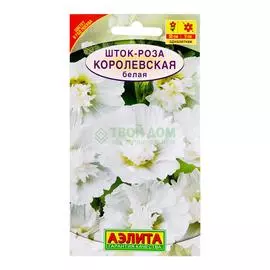 Аэлита Шток-роза Королевская White