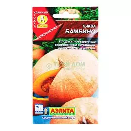 Аэлита Тыква Бамбино