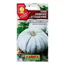 Аэлита Тыква Зимнее угощение