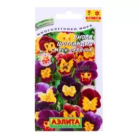 Аэлита Виола Шотландия, смесь