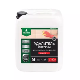 Антисептический удалитель плесени 1:1 Prospect Fungi Clean 5 л