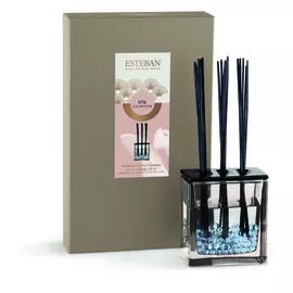 Аромадиффузор Esteban Ирис и кашемир 250 мл