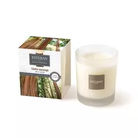Аромасвеча Esteban Decouverte Дикий Кедр 9 см