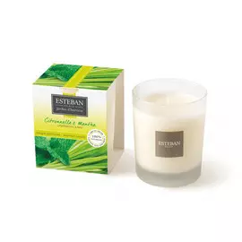 Аромасвеча Esteban Decouverte Лемонграсс и мята 9 см