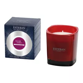 Аромасвеча ESTEBAN Инжир и Тонка 170 г