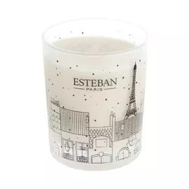 Аромасвеча Esteban клюква 170г