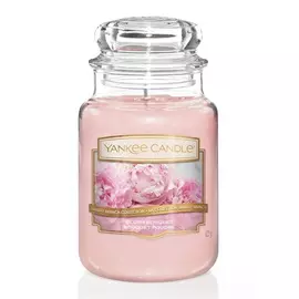 Аромасвеча Yankee Candle Пудровый букет 16,8 см