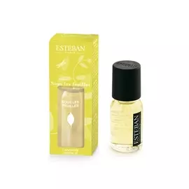 Аромат концентрированный Esteban В тени зеленых деревьев 15 мл