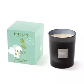 Ароматическая свеча Esteban Белая орхидея 170 г серая