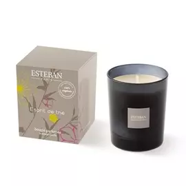 Ароматическая свеча Esteban Зеленый чай 170 г серая