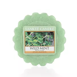 Ароматическая свеча-тарталетка Yankee candle Дикая мята 22 г