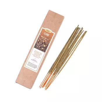 Ароматические палочки Aasha Herbals Гвоздика (Clove), 10 шт
