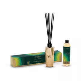 Ароматический диффузор Esteban 1000 и 1 ель 250 мл