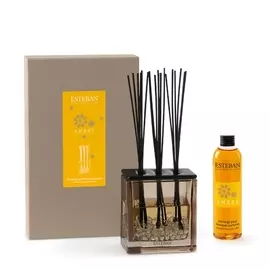 Ароматический диффузор Esteban Амбра 250 мл