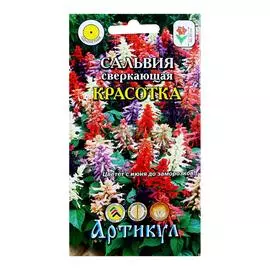 Артикул Сальвия Красотка