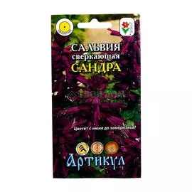Артикул Сальвия Сандра