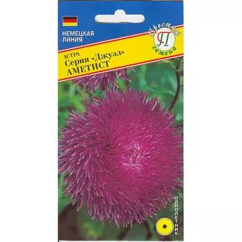 Астра Престиж семена Джуэл аметист