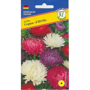 Астра Престиж семена Гном смесь всех цветов