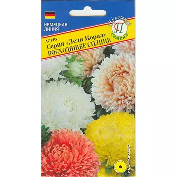 Астра Престиж семена Леди Корал Восходящее солнце