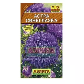 Астра "Синеглазка" Аэлита