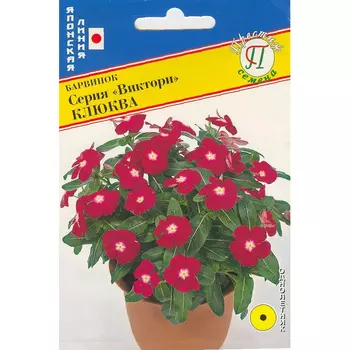 Барвинок Престиж семена Виктори клюква