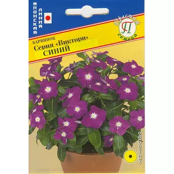 Барвинок Престиж семена Виктори синий