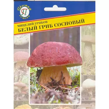 Белый гриб сосновый Престиж семена
