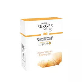 Блок сменный Maison berger Арома-энергия 2 шт