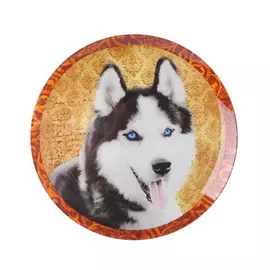 Блюдо Walmer Хаски 25 см