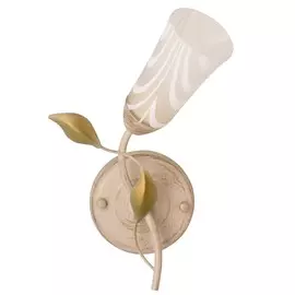 Бра MW-Light 242025701 1/60w e14