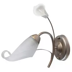 Бра MW-Light 242026601 1/60w e14