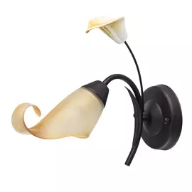 Бра MW-Light 242027101 1/60w e14