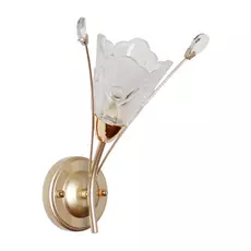 Бра MW-Light 294026301 1/40w e14