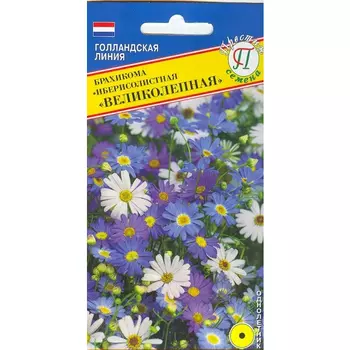 Брахикома Престиж семена Великолепная