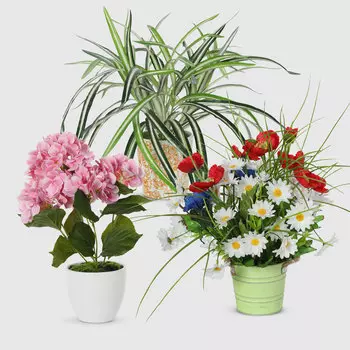 Букет Фитопарк Милый подарок