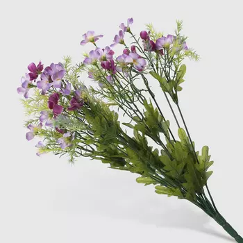 Букет Конэко-О 42513