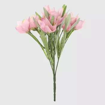 Букет крокусов Конэко-О 108614 25 см