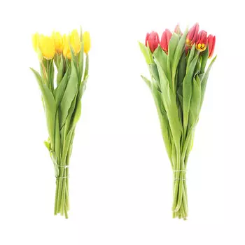 Букет тюльпанов Orangery в ассортименте из 11 цветков