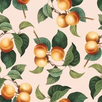 Бумага для подарков Be Smart 70х100 см, Коллекция "Flora", персики