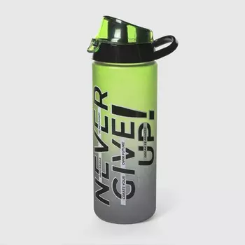 Бутылка Herevin для воды Never give up 750 мл