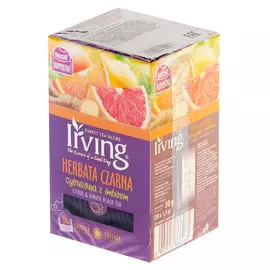 Чай черный Irving крыжовник, имбирь, 20 пакетиков