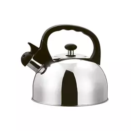 Чайник Hugo Gipfel 2.5 л