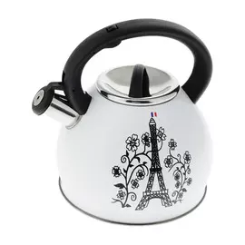 Чайник с терморисунком микс 3 л Hitt