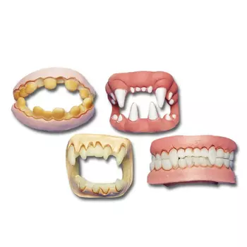 Челюсть Артэ-Грим в ассортименте