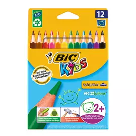Цветные карандаши BIC Evolution Triangle 12 цветов