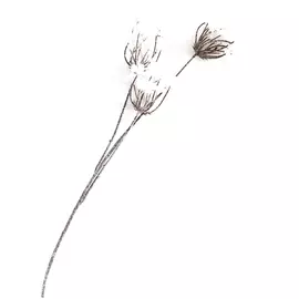 Цветок декоративный Kaemingk обиход 28x78 см
