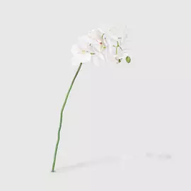 Цветок искусственный Dpi Орхидея 70 см кремовый