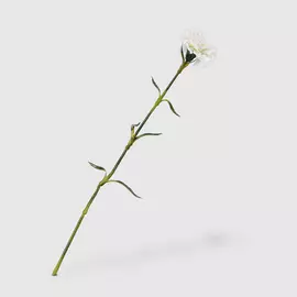 Цветок искусственный Litao Гвоздика 55 см кремово-зеленый