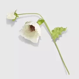 Цветок искусственный Most flowers Гортензия кремово-зеленый