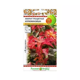 Цветы амарант Русский огород трехцветный иллюминейшн